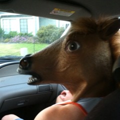 Steve Guzman Hernandez