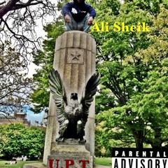 alisheik