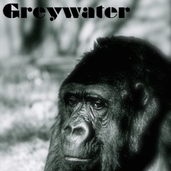 GreyWater