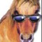 Poney