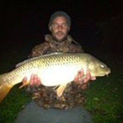 Bass