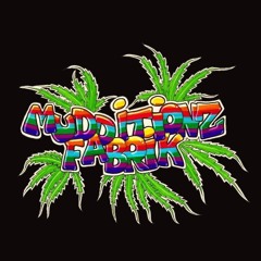 Mudditionzfabrik Berlin