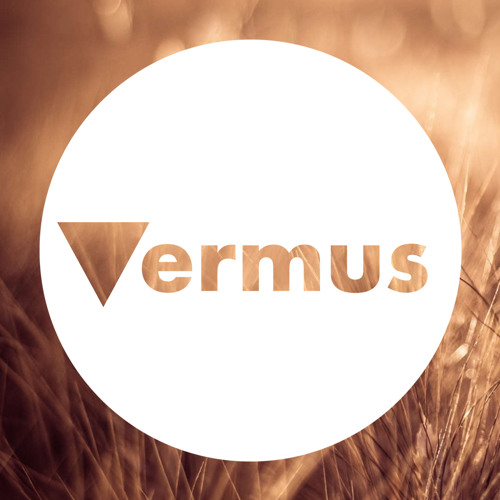 Vermus’s avatar