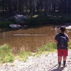 Dominic Daniels Campos