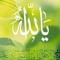 Abo Ahmed 24