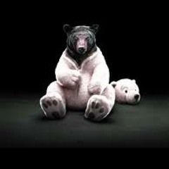 IncognitoBear