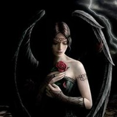 Kyawt Yupar Ivy Iris