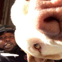 "Kaos" Kayshawn Jack