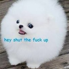 Sarisa Wangtanasoontorn