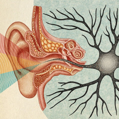 Open ear