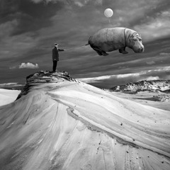 Corey Archey