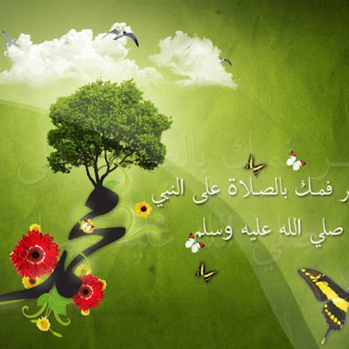 Ahmed Hamama 3’s avatar