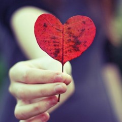 Qalbi ♥ Somali
