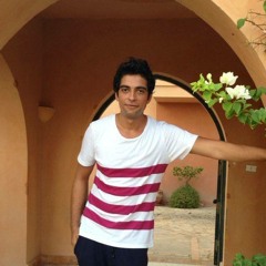Alaa A. Badr