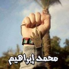 mohammed shaier