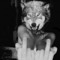 Ghostdog Crq