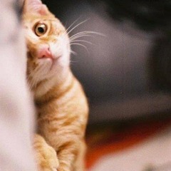موسيقى برنامج خواطر
