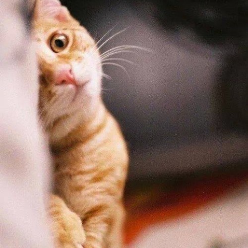 موسيقى برنامج خواطر