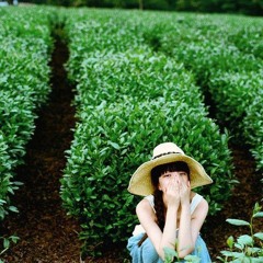 Lin Feng