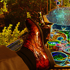 R.Capone & Les Ravageurs