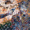Vietnam_Scars
