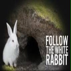 ॐ Mr. White Rabbit ॐ