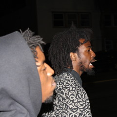 TheFreeVibe