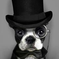 Buzz Killington 9