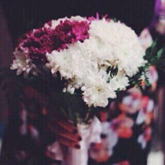 Roza.sh