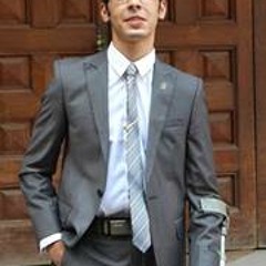 Bassem Amir