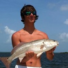 Cole Taylor 19