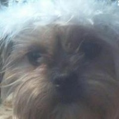 Tanya Lynn Revell-Currier