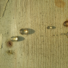 Sagey (Deep House) Beats