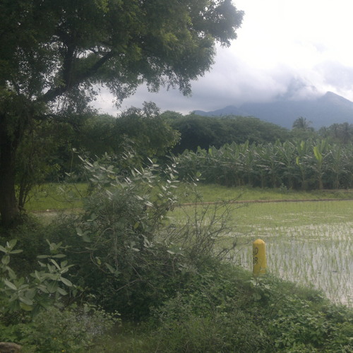 Enathu Vazhi Vizhi