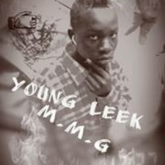Young Leek 1