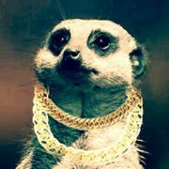 Yung Surikata