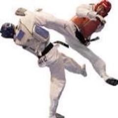 Jefferson Tkd Santos