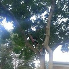 Chris Topher Salvagin