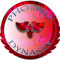 Phoenix Dynasty