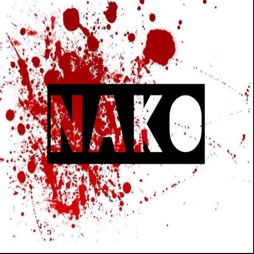Nako4532’s avatar