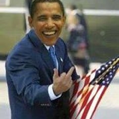 Qweezyb Certified Logan