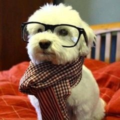 Jorge Martínez Machuca