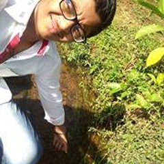 Piya Ghar Avenge O Ri Sakhi Mangal Gao Ri By Parth S Kothari Piya Ghar Avenge O Ri Sakhi Mangal Gao Ri By Parth S Kothari