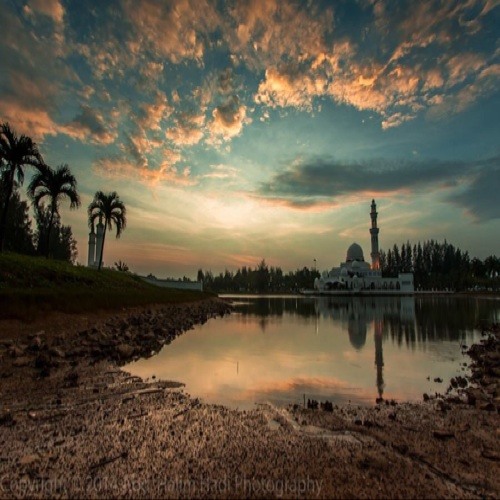 ام منعم—نحن في ساحة الحسين نزلنا