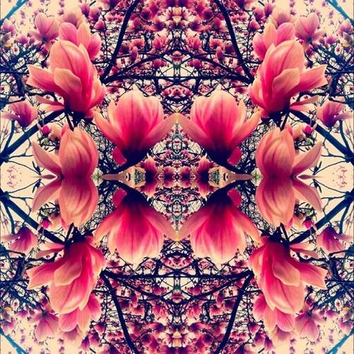 e da