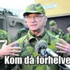 Sebastian Sjöström 2