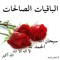 maha_islam