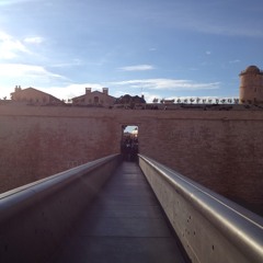 Clémence Beauvillard