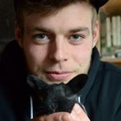 Mikkel Victor Petersen