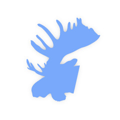 Song Moose
